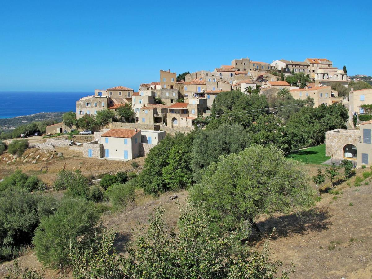 Apartment Thalassa - Cal200 By Interhome Corsica Island المظهر الخارجي الصورة