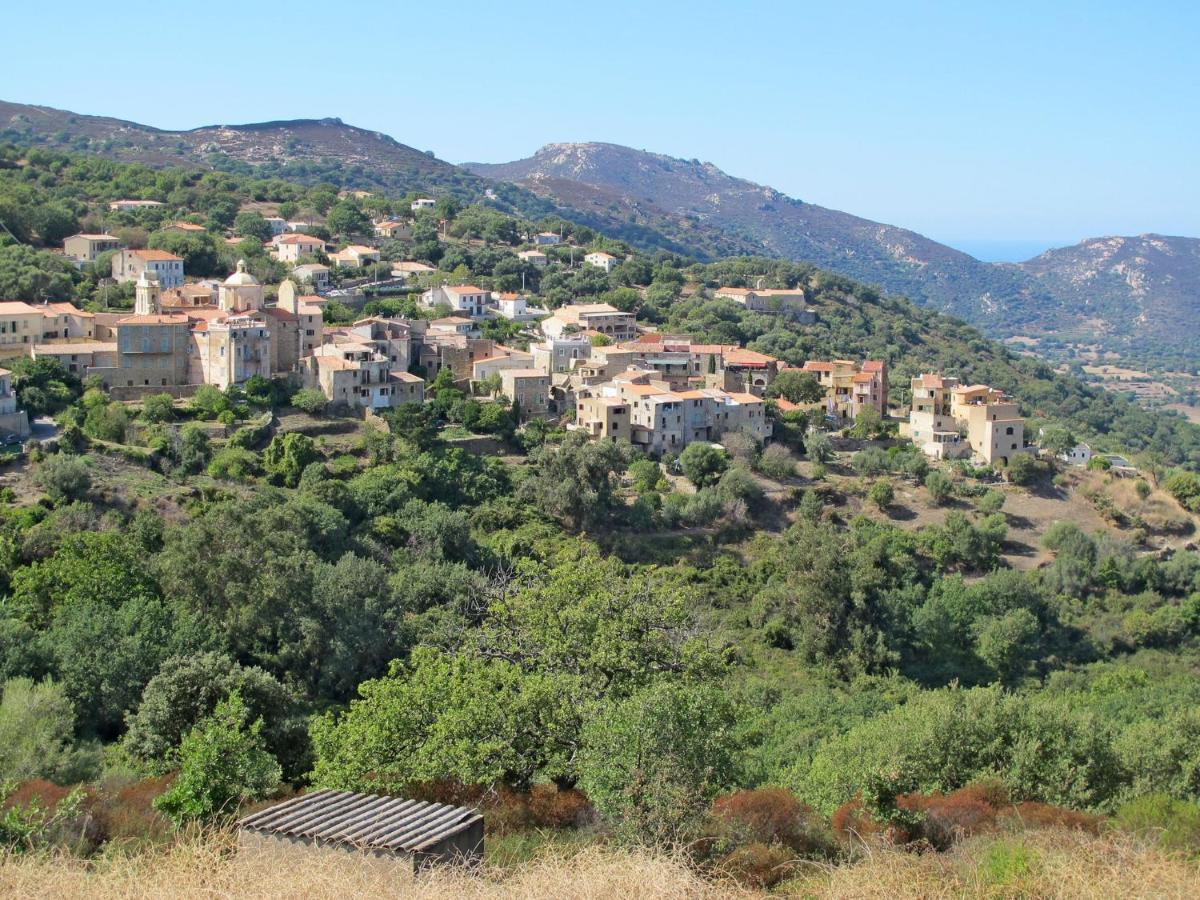 Apartment Thalassa - Cal200 By Interhome Corsica Island المظهر الخارجي الصورة
