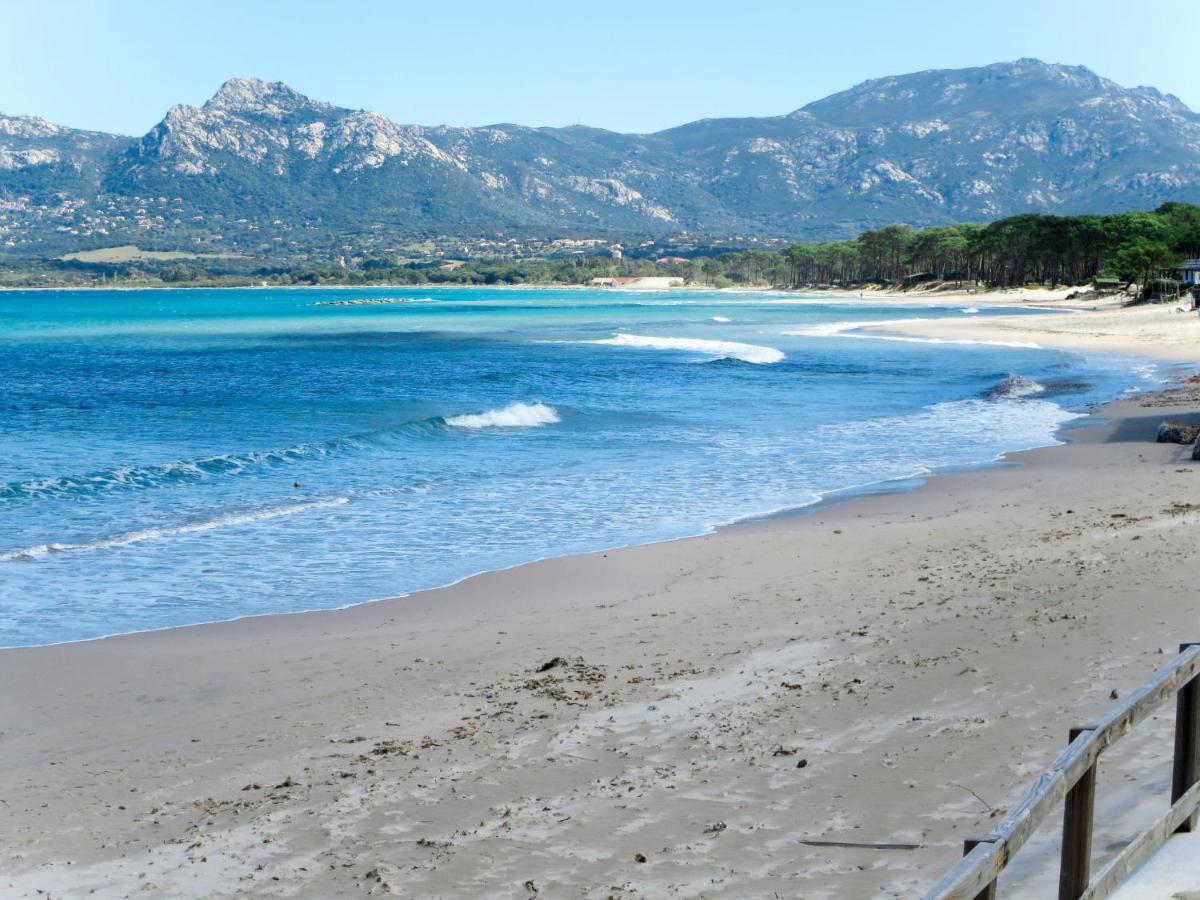 Apartment Thalassa - Cal200 By Interhome Corsica Island المظهر الخارجي الصورة